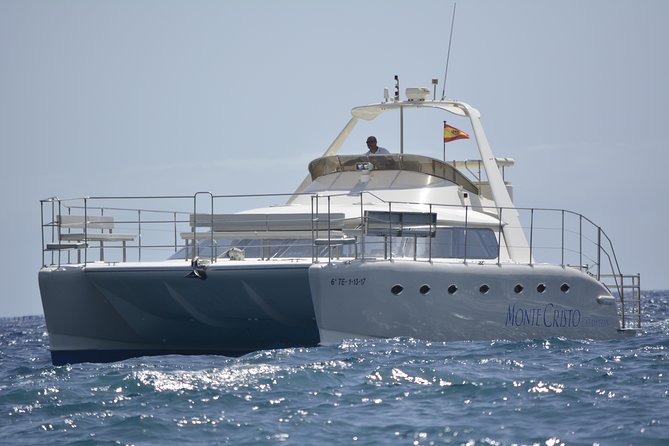 Whale and Dolphin Watching Catamaran with Transfer and Buffet - Pickup and Meeting at Puerto Colón: How Logistics Actually Work