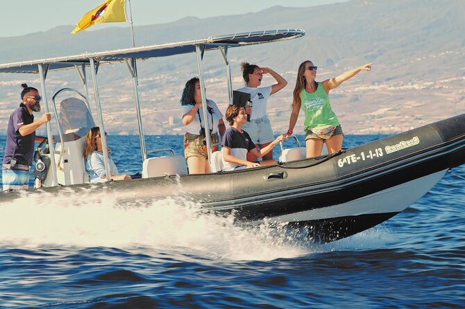 Whale and Dolphin Watching EcoAdventure in Tenerife - Meeting at Avenida de Colón in Costa Adeje