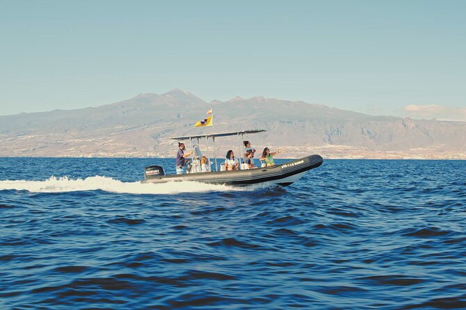 Whale and Dolphin Watching EcoAdventure in Tenerife - Responsible by Design: Marine Litter Collection at Sea