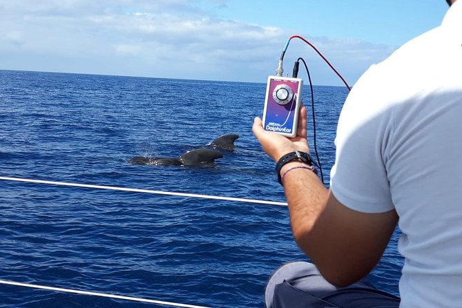 Whale and Dolphin Watching Sailing Boat with Drinks, Snacks and Swimming Time - Meeting point, pickup, and the 15-minute rule that saves stress