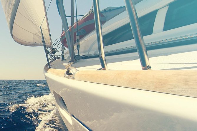 Whale and Dolphin Watching Yacht Trip in Puerto Colon - Whale and Dolphin Watching on a 12-Person Yacht: How It Plays Out