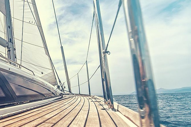 Whale and Dolphin Watching Yacht Trip in Puerto Colon - Timing Options: Afternoon vs the 19:00 Sunset Trip
