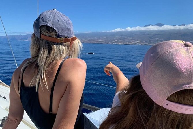 Whale and Dolphin Watching Yacht Trip in Puerto Colon - Boat Comfort: Small-Group Upsides and Real-World Considerations
