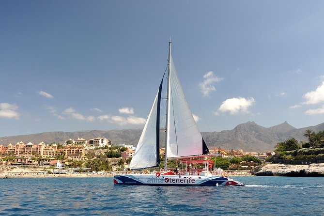 Whale watching and listening Eco-Catamaran Tour with Food Tasting - Key things to know before you go