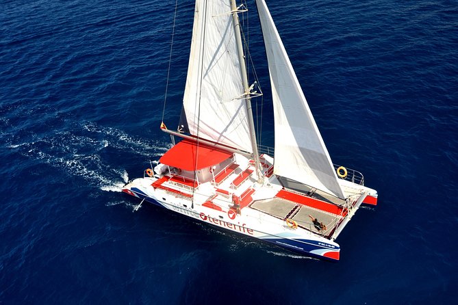 Whale watching and listening Eco-Catamaran Tour with Food Tasting - Whale listening and eco-catamaran comfort in Tenerife