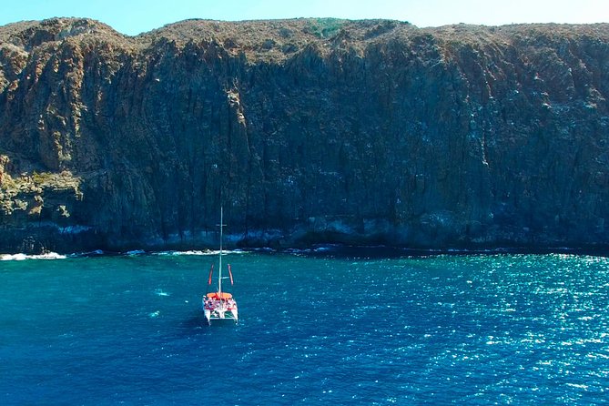 Whale watching and listening Eco-Catamaran Tour with Food Tasting - What happens on board during the whale search