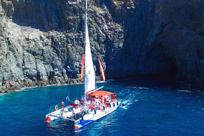 Whale watching and listening Eco-Catamaran Tour with Food Tasting - Included sandwiches, unlimited drinks, and a vegetarian option