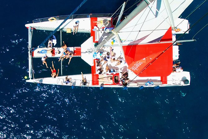 Whale Watching and Listening Eco Catamaran Tour with Food Tasting - Whale Watching and Whale Listening: What to Expect at Sea