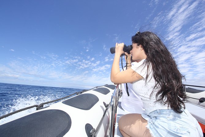 Whale Watching and Marine Science Tour - Wildlife Watching With Real Respect (Not a Noise Contest)