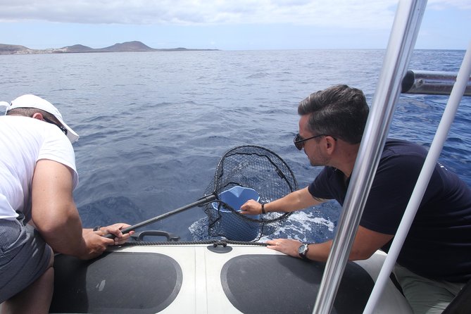 Whale Watching and Marine Science Tour - Practical Tips: What to Bring and What’s Missing
