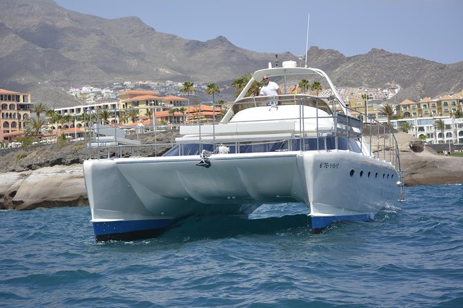 Whale Watching Catamaran Cruise with Transfer, Buffet by MC - What you’re really looking for out on Tenerife waters