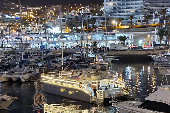 Whale Watching Catamaran Cruise with Transfer, Buffet by MC - Weather, seasickness, and the real-world comfort checklist