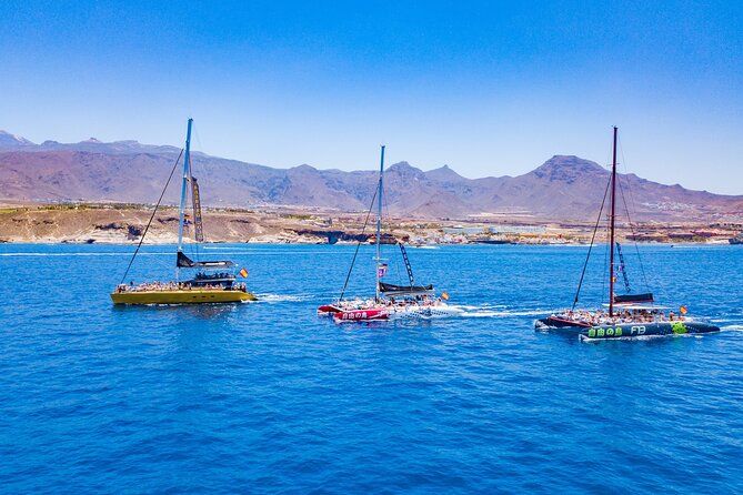 Whale Watching Catamaran in Costa Adeje (Including drinks & Sandwich) - Photos on board: fun if you want them, optional if you don’t