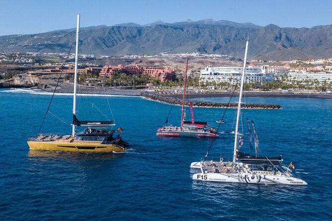 Whale Watching Catamaran in Costa Adeje (Including drinks & Sandwich) - Sea-sickness and how the crew supports you