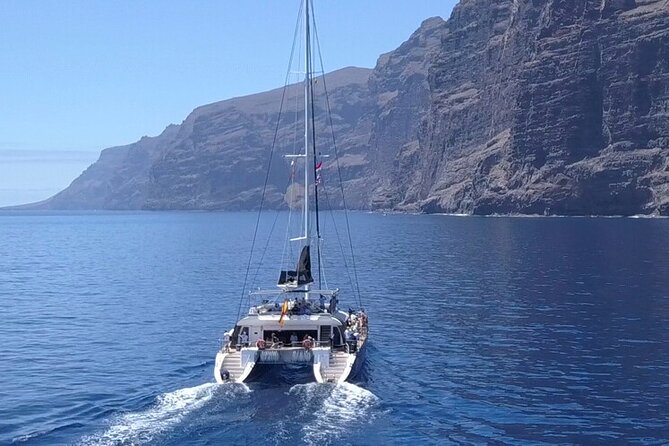 Whale Watching Catamaran to Los Gigantes & Masca (Including drinks & warm lunch) - Puerto Colón to Los Gigantes and Masca: the 4.5-hour rhythm