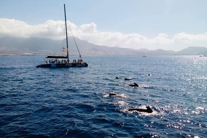 Whale Watching Catamaran to Los Gigantes & Masca (Including drinks & warm lunch) - Los Gigantes cliffs and the Masca coast: the scenery you should plan around