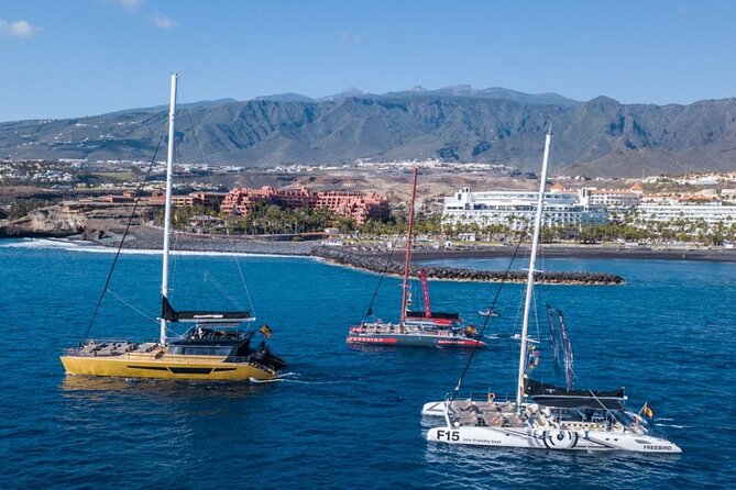 Whale Watching Catamaran to Los Gigantes & Masca (Including drinks & warm lunch) - Food and bar setup: what’s included, what might feel basic, and how to handle it