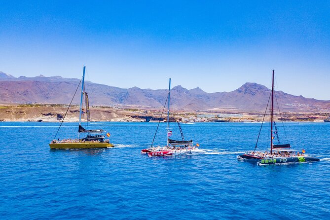 Whale Watching Catamaran to Los Gigantes & Masca (Including drinks & warm lunch) - Comfort, sun, and seasickness: your practical checklist for this catamaran