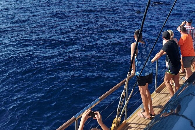 Whale Watching Catamaran to Los Gigantes & Masca (Including drinks & warm lunch) - Book it or skip it: my straight advice for most travelers