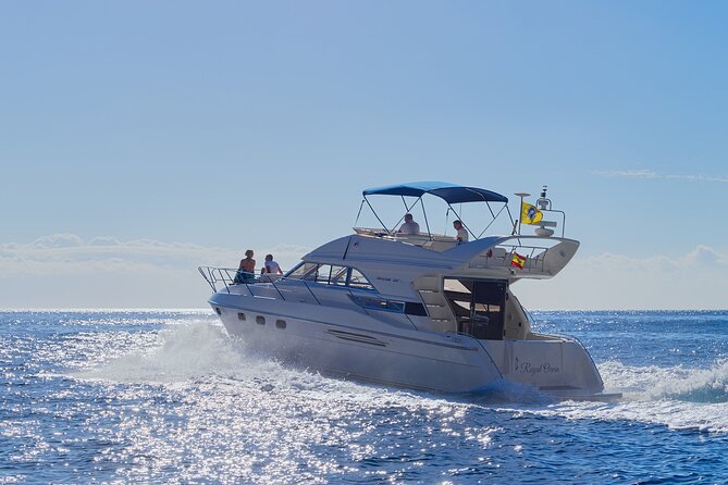 Whales and Dolphins excursion on a Luxury Yacht in Canary Islands - Quick hits on what makes this trip work