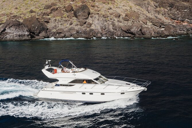 Whales and Dolphins excursion on a Luxury Yacht in Canary Islands - Luxury yacht setup: small group, big comfort on Tenerife