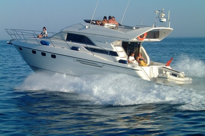 Whales and Dolphins excursion on a Luxury Yacht in Canary Islands - Onboard treats: bar service, snacks, and lunch that don’t feel like an afterthought