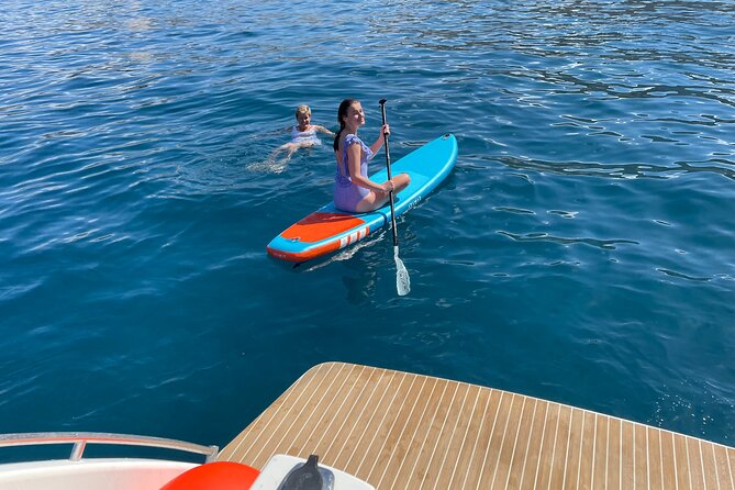 Whales and Dolphins excursion on a Luxury Yacht in Canary Islands - Who should book this (and who should pick a different tour)
